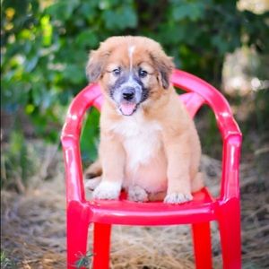 Meet your Posher, Neil